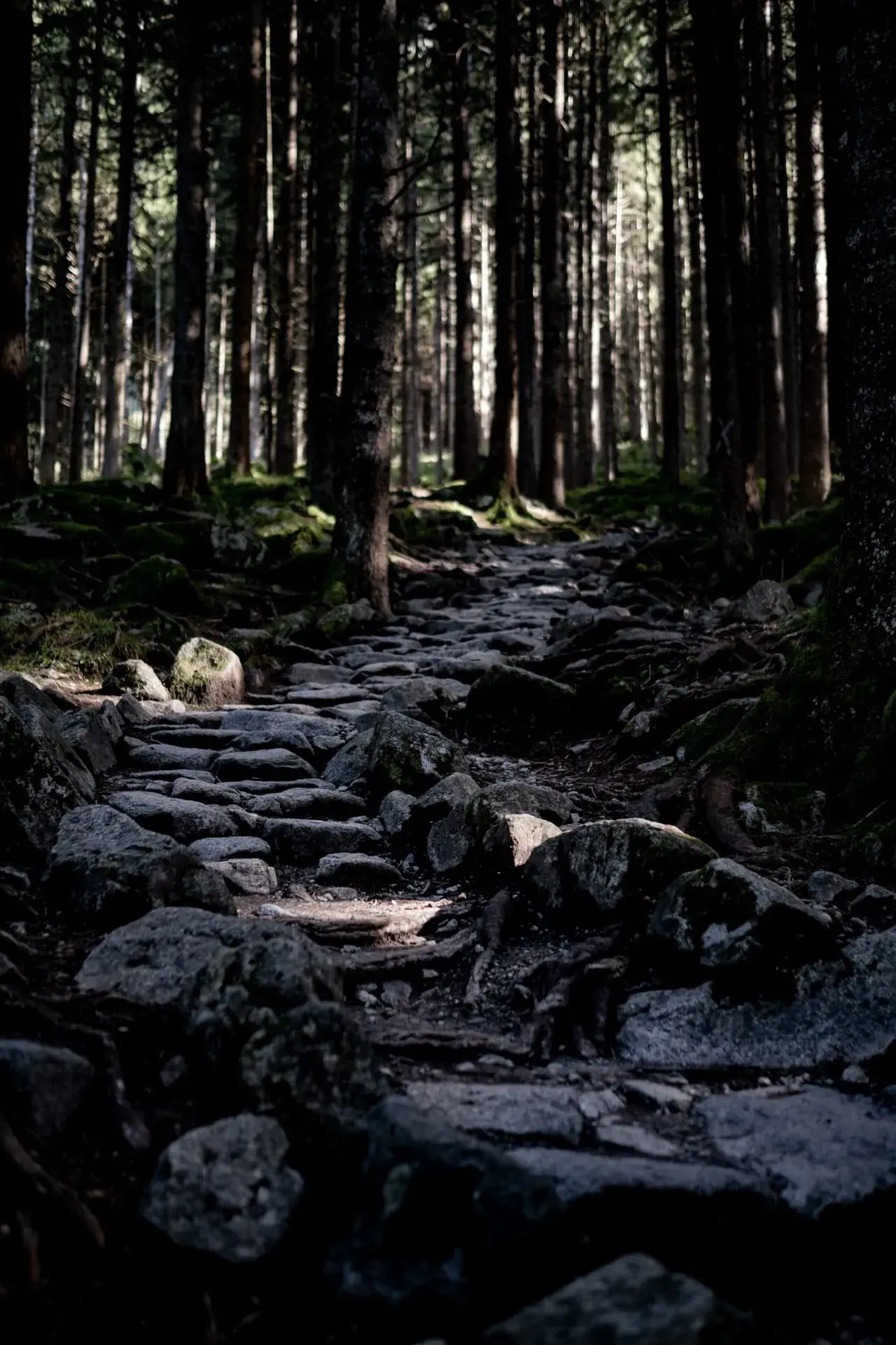 Free Spirit Retreat – Impression vom 2. Oktober 2024